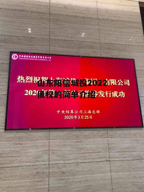 山东阳信城投2022债权的简单介绍