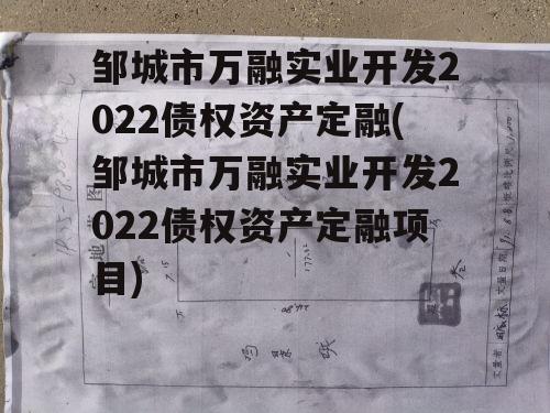 邹城市万融实业开发2022债权资产定融(邹城市万融实业开发2022债权资产定融项目)