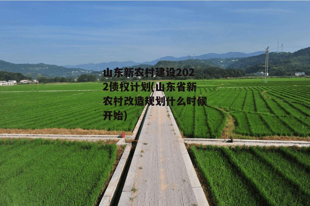 山东新农村建设2022债权计划(山东省新农村改造规划什么时候开始)