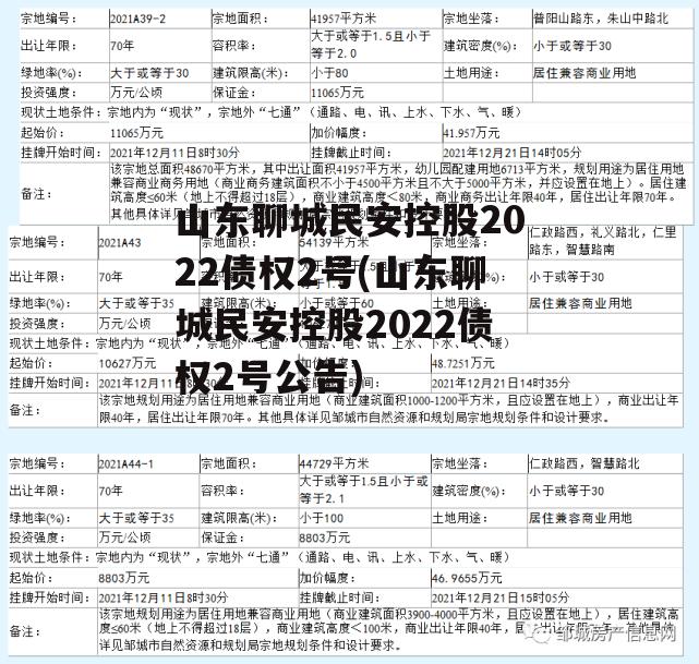 山东聊城民安控股2022债权2号(山东聊城民安控股2022债权2号公告)