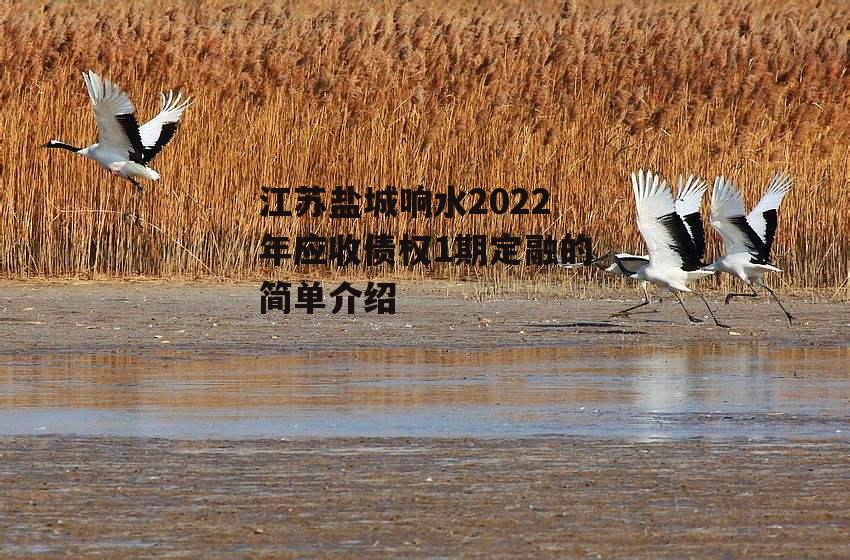 江苏盐城响水2022年应收债权1期定融的简单介绍