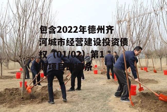 包含2022年德州齐河城市经营建设投资债权（01/02）第1期项目的词条