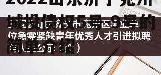 2022山东济宁兖州城投债权5号-9号的简单介绍