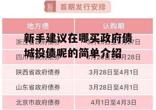 新手建议在哪买政府债城投债呢的简单介绍