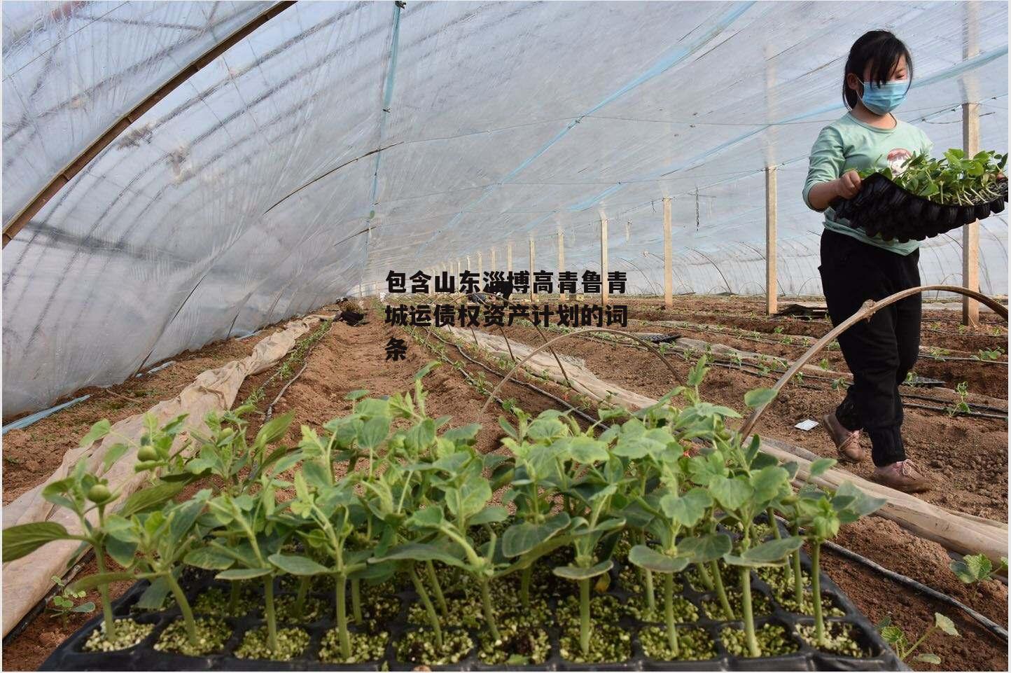 包含山东淄博高青鲁青城运债权资产计划的词条