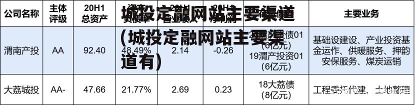 城投定融网站主要渠道(城投定融网站主要渠道有)