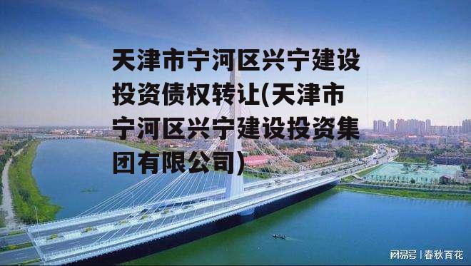 天津市宁河区兴宁建设投资债权转让(天津市宁河区兴宁建设投资集团有限公司)