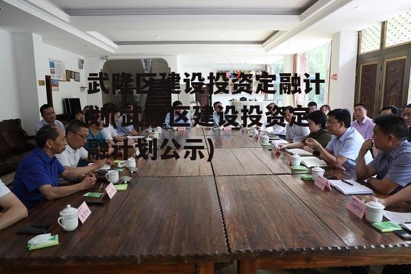 武隆区建设投资定融计划(武隆区建设投资定融计划公示)