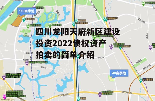 四川龙阳天府新区建设投资2022债权资产拍卖的简单介绍