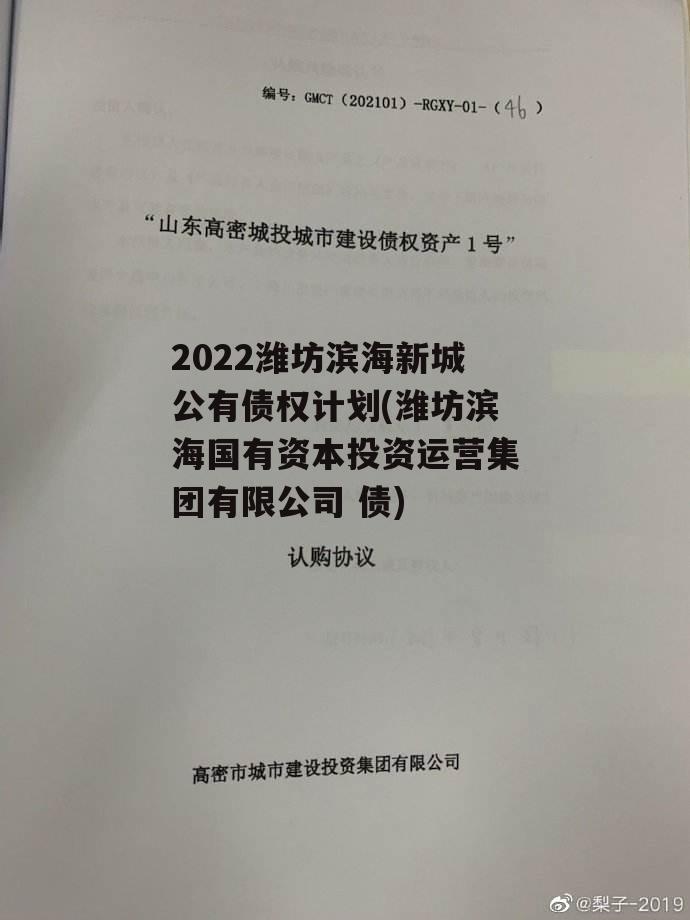 2022潍坊滨海新城公有债权计划(潍坊滨海国有资本投资运营集团有限公司 债)