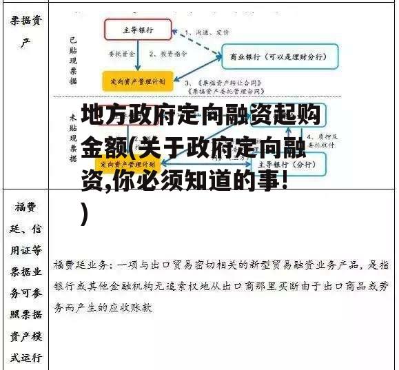 地方政府定向融资起购金额(关于政府定向融资,你必须知道的事!)