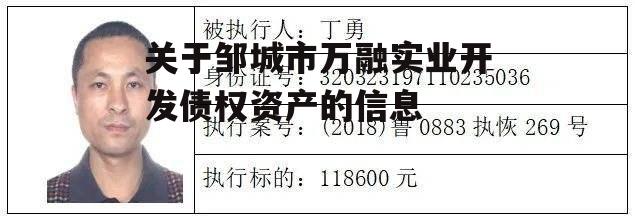 关于邹城市万融实业开发债权资产的信息