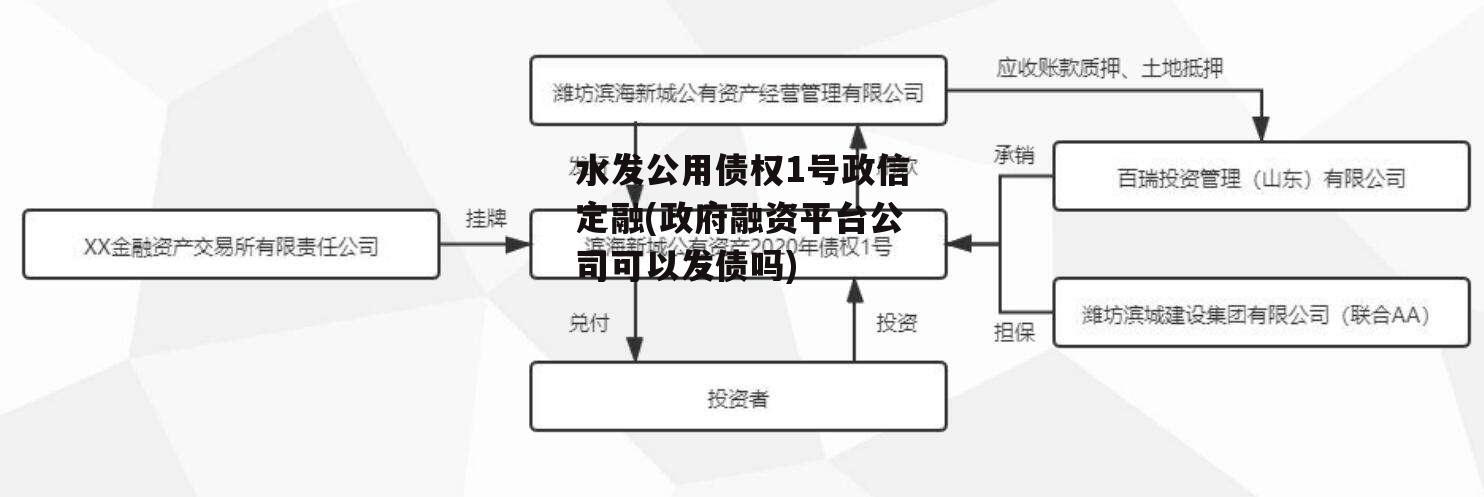 水发公用债权1号政信定融(政府融资平台公司可以发债吗)