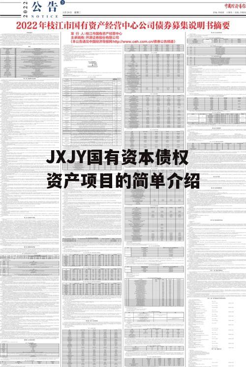 JXJY国有资本债权资产项目的简单介绍