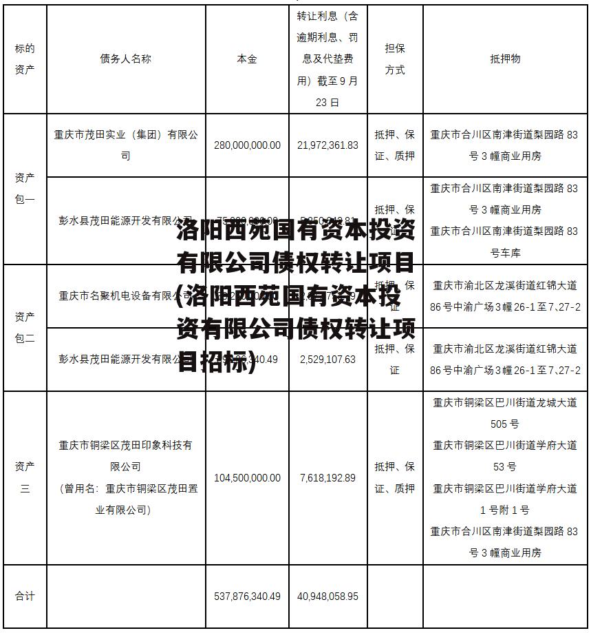 洛阳西苑国有资本投资有限公司债权转让项目(洛阳西苑国有资本投资有限公司债权转让项目招标)