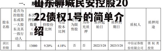 山东聊城民安控股2022债权1号的简单介绍