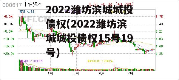 2022潍坊滨城城投债权(2022潍坊滨城城投债权15号19号)