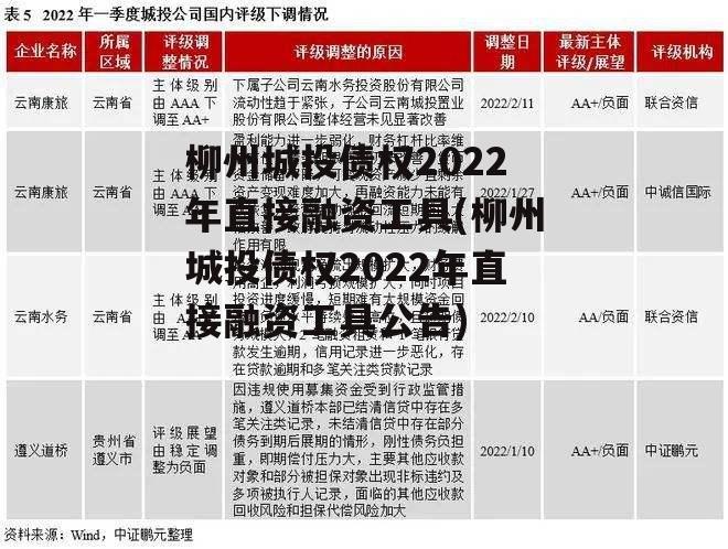 柳州城投债权2022年直接融资工具(柳州城投债权2022年直接融资工具公告)