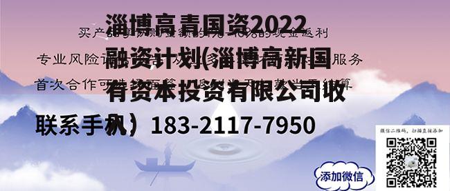 淄博高青国资2022融资计划(淄博高新国有资本投资有限公司收入)