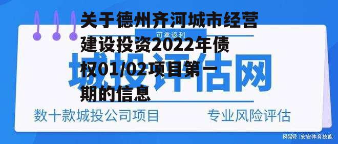 关于德州齐河城市经营建设投资2022年债权01/02项目第一期的信息