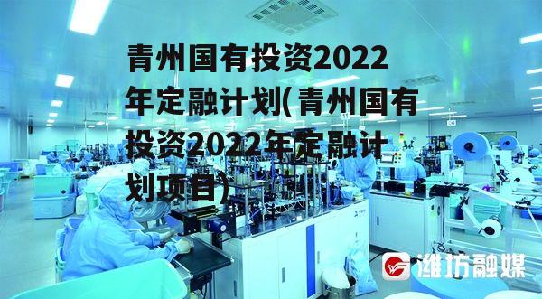 青州国有投资2022年定融计划(青州国有投资2022年定融计划项目)