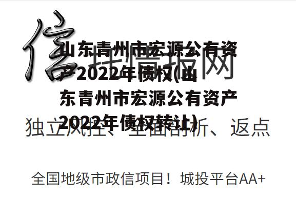 山东青州市宏源公有资产2022年债权(山东青州市宏源公有资产2022年债权转让)