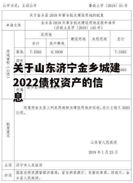 关于山东济宁金乡城建2022债权资产的信息