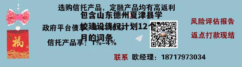 包含山东德州夏津县学校建设债权计划12个月的词条