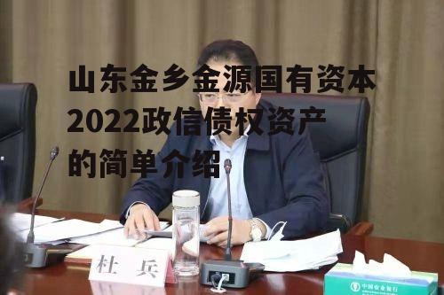 山东金乡金源国有资本2022政信债权资产的简单介绍