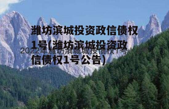 潍坊滨城投资政信债权1号(潍坊滨城投资政信债权1号公告)