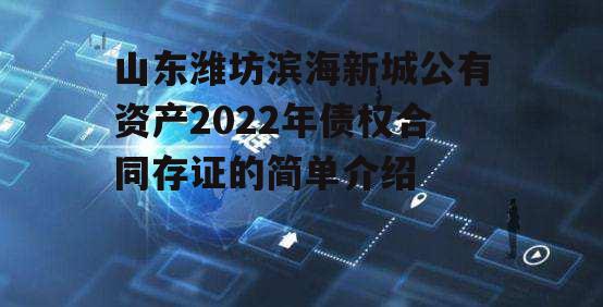 山东潍坊滨海新城公有资产2022年债权合同存证的简单介绍