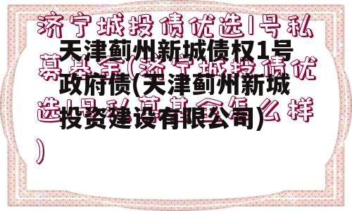 天津蓟州新城债权1号政府债(天津蓟州新城投资建设有限公司)