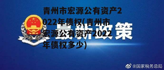 青州市宏源公有资产2022年债权(青州市宏源公有资产2022年债权多少)