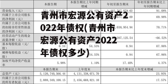 青州市宏源公有资产2022年债权(青州市宏源公有资产2022年债权多少)