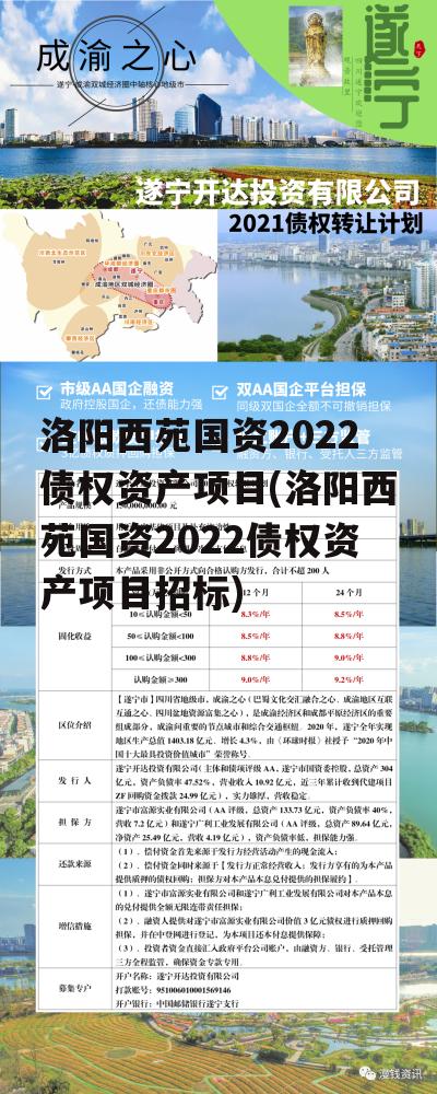 洛阳西苑国资2022债权资产项目(洛阳西苑国资2022债权资产项目招标)