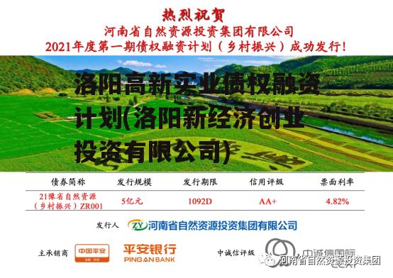 洛阳高新实业债权融资计划(洛阳新经济创业投资有限公司)