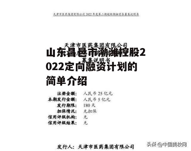 山东昌邑市渤潍控股2022定向融资计划的简单介绍