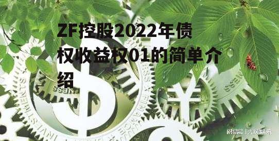 ZF控股2022年债权收益权01的简单介绍