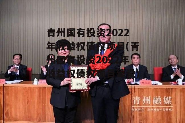 青州国有投资2022年收益权债权项目(青州国有投资2022年收益权债权项目建设)