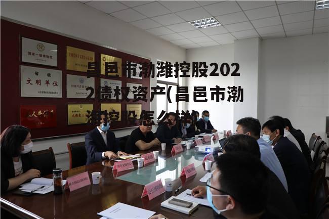 昌邑市渤潍控股2022债权资产(昌邑市渤海控股怎么样)