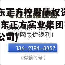 山东正方控股债权资产(山东正方实业集团有限公司)