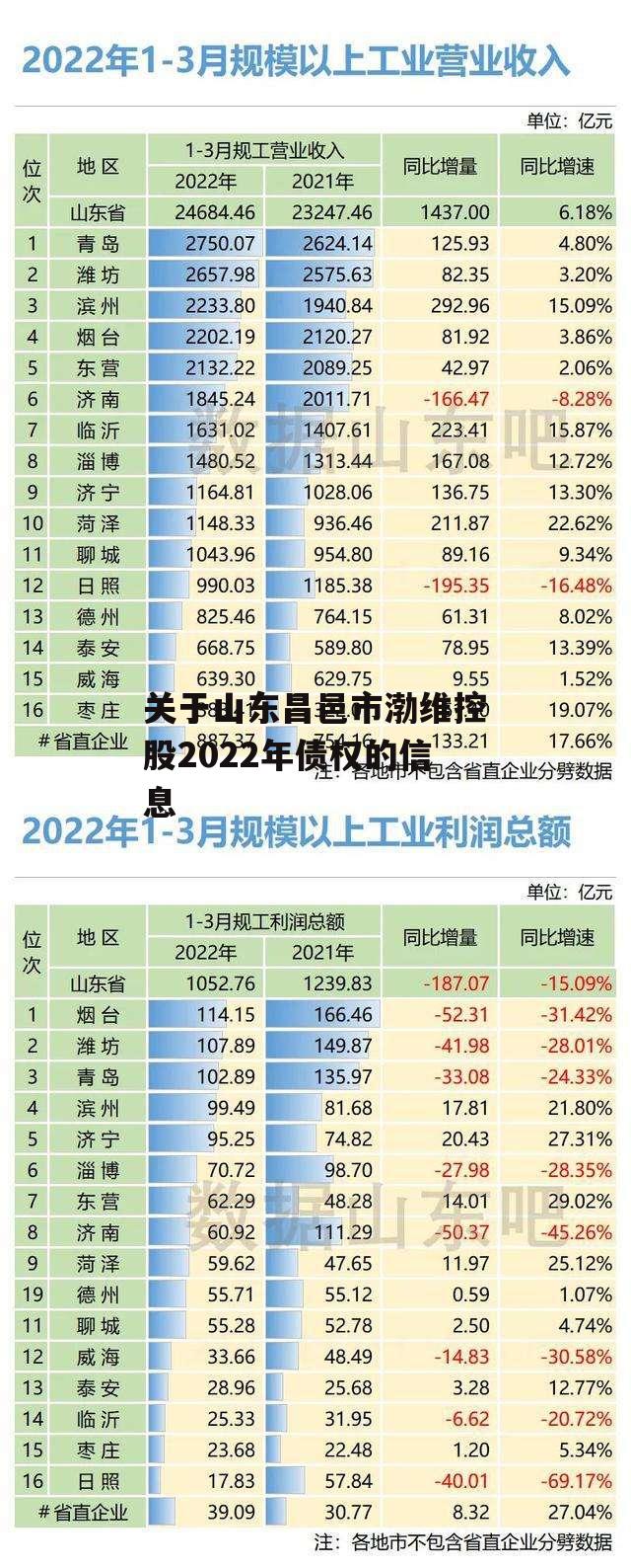 关于山东昌邑市渤维控股2022年债权的信息