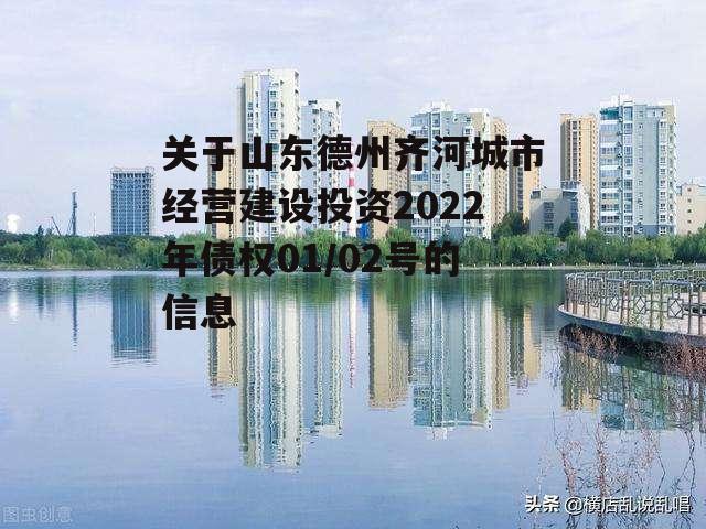 关于山东德州齐河城市经营建设投资2022年债权01/02号的信息