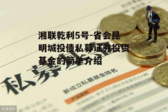 湘联乾利5号-省会昆明城投债私募证券投资基金的简单介绍