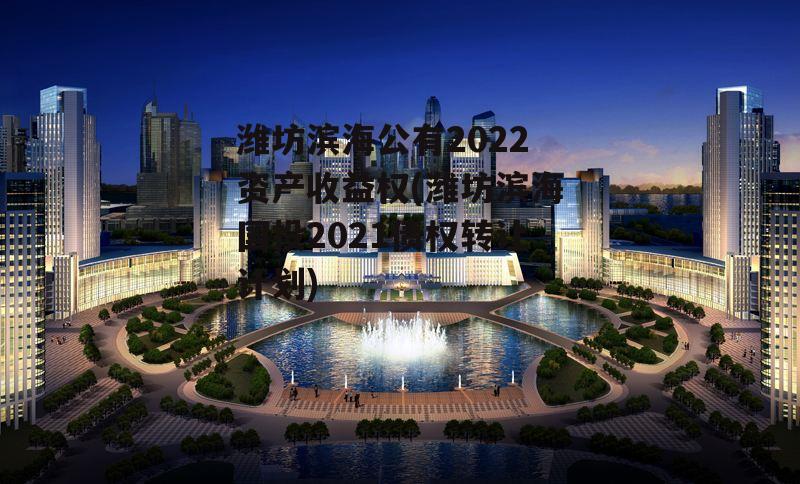 潍坊滨海公有2022资产收益权(潍坊滨海国投2021债权转让计划)