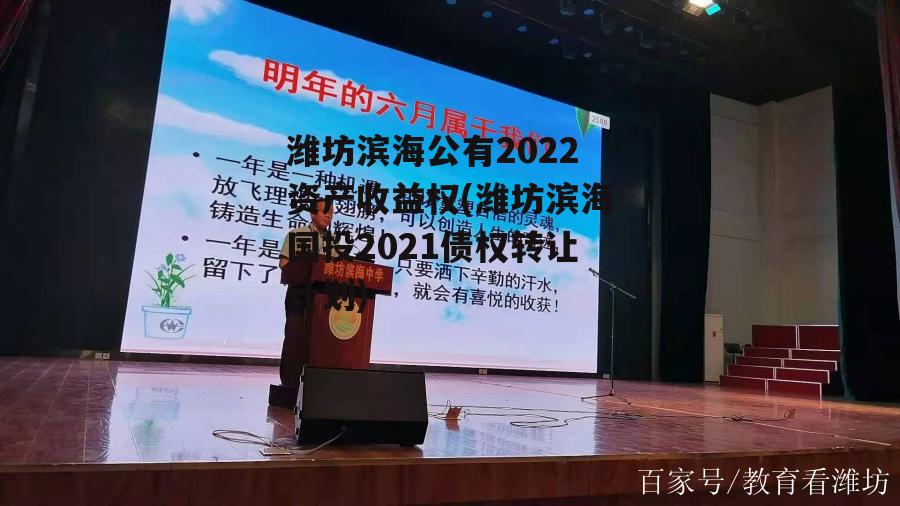 潍坊滨海公有2022资产收益权(潍坊滨海国投2021债权转让计划)