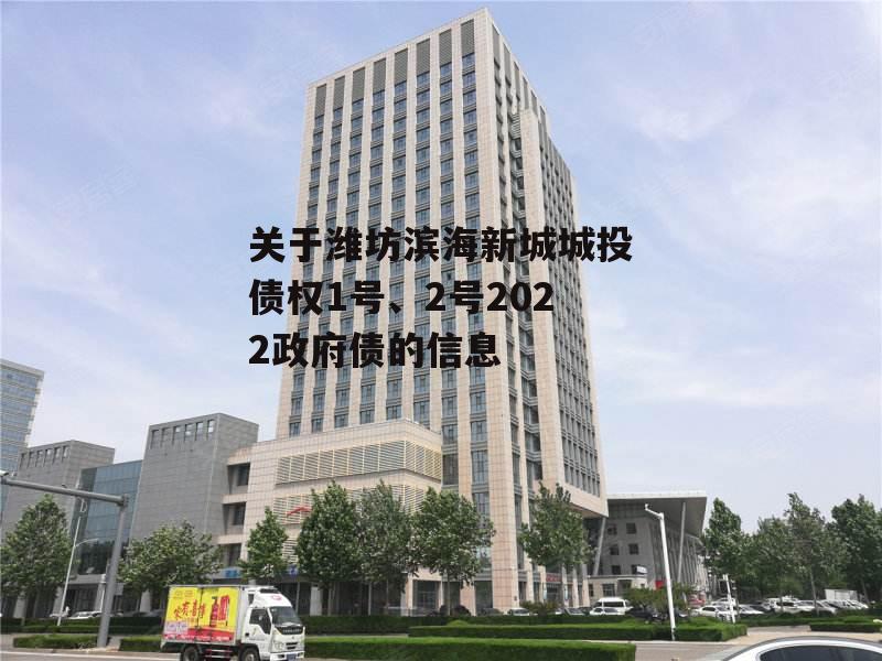 关于潍坊滨海新城城投债权1号、2号2022政府债的信息