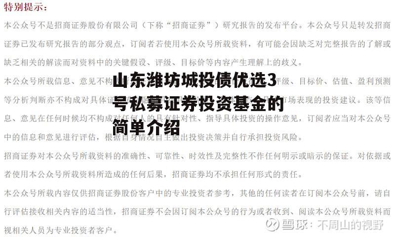 山东潍坊城投债优选3号私募证券投资基金的简单介绍