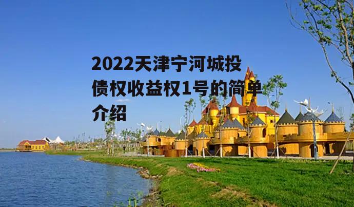 2022天津宁河城投债权收益权1号的简单介绍