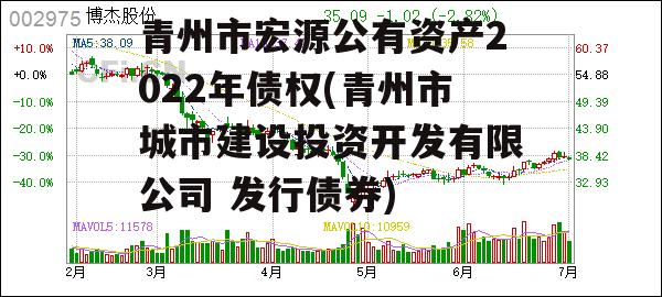 青州市宏源公有资产2022年债权(青州市城市建设投资开发有限公司 发行债券)